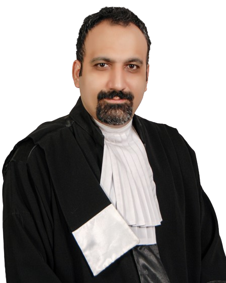وکیل شرکت ها | بهترین وکیل شرکت ها | وکیل بین المللی